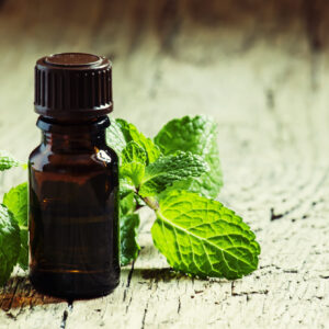 Sauna Oil Selection