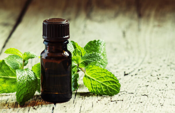 Sauna Oil Selection